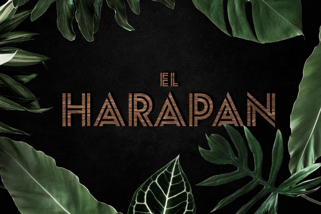 El Harapan - Sumergete En Una Selva A Pie De Playa - Grupo Querbes Gijón Exteriör bild